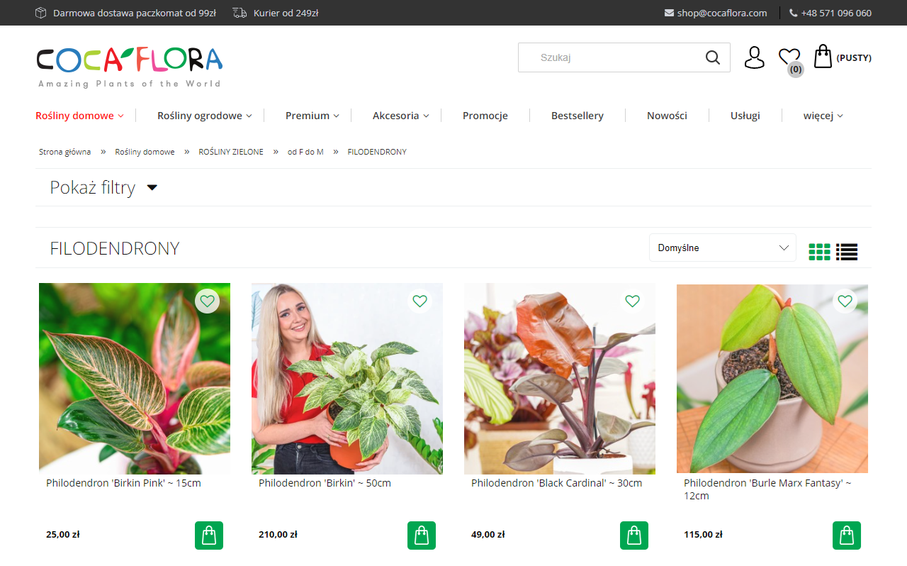 Najmodniejsze filodendrony 2026 - które odmiany warto mieć?